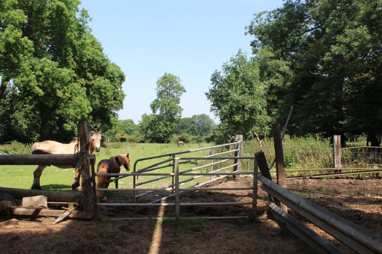 La Ferme De La Croix Βίλα Saint-Quentin-Lamotte-Croix-au-Bailly Εξωτερικό φωτογραφία