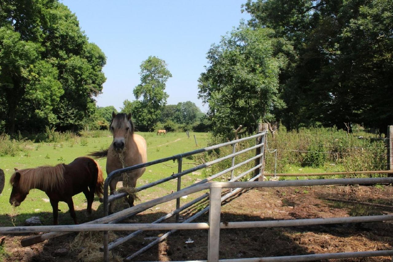 La Ferme De La Croix Βίλα Saint-Quentin-Lamotte-Croix-au-Bailly Εξωτερικό φωτογραφία